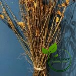 14ab67f90d5f977111f6c6ae124ebe92