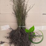 f9fa4ce6b4fc01baf0c07b30eeca4906