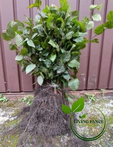 e4acdd81f90a92d82955b05fc0125f18