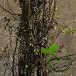 62606c920d7c7469dbb189a907548bfe