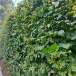 c548b7153740823fa56aea1d18d49826