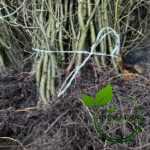 23733ae6a3ce7289922b4b0bfe5d0049