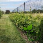 fe46087eaba88573af403ddbcdd3a50b