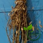 edc0eea8d44e184e094083082e578766