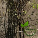 c7aaac053e846af9398abb6f79aa8f0b